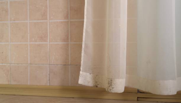 Best Mold Prevention Services  in Polk City, FL