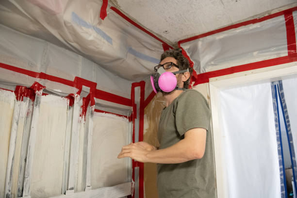 Best Environmental Consulting for Mold Prevention  in Polk City, FL