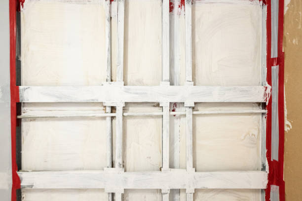 Best Asbestos and Lead Testing During Mold Inspection  in Polk City, FL
