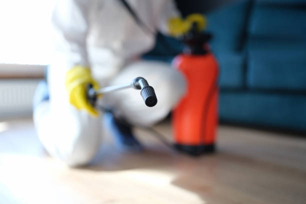 Best Post-Construction Mold Inspection  in Polk City, FL