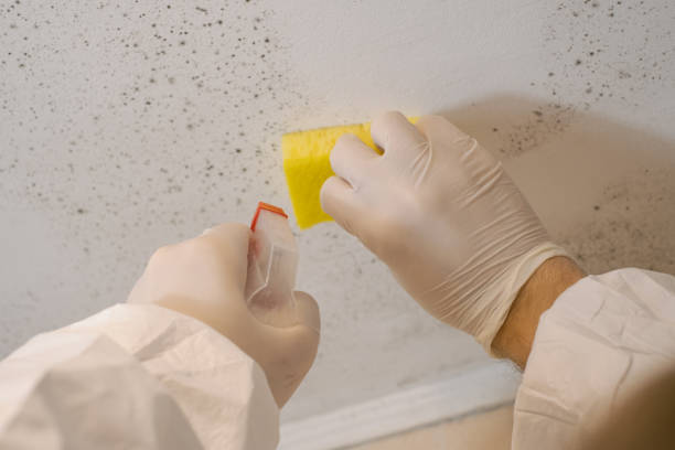Best Residential Mold Inspection & Testing  in Polk City, FL