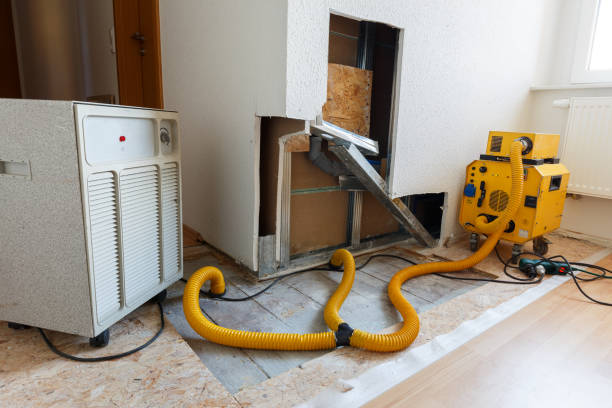 Best Commercial Mold Inspection  in Polk City, FL