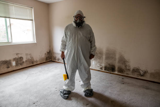Best Attic Mold Removal  in Polk City, FL
